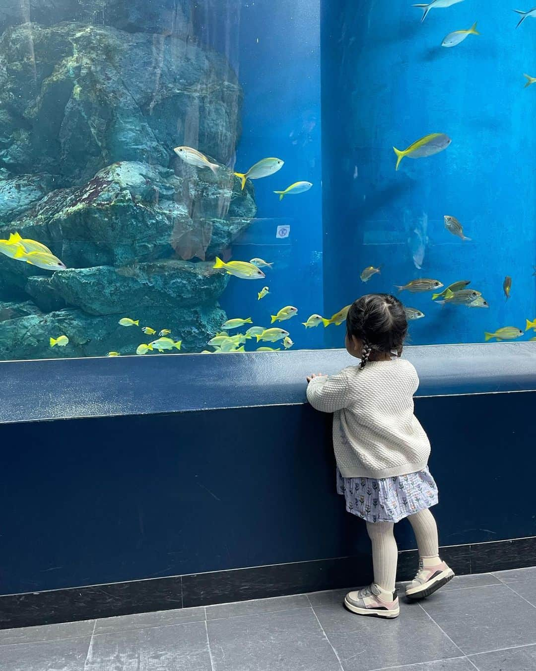 水野佐彩さんのインスタグラム写真 - (水野佐彩Instagram)「・ 水族館🐠🐟🐡🦭❤️ #きょうのわたちたち👩‍👧  #きょうのわたちたち👨‍👩‍👧   3回目の水族館だった娘👧🏻 行くたびに反応が濃くなるので 成長を感じられて嬉しい💕💕 今年は動物園も連れて行ってあげたいな🦣🦍🦒🐖  #153cmコーデ #おちびコーデ #おちびの輪 #Sサイズコーデ #ままコーデ #ママコーデ #ママライフ #2020年ベビー #女の子ママ #女の子ベビー #ブルベ夏 #ブルベ #ブルベサマー #ソフトエレガント #ウェーブ #骨格診断ウェーブ #2歳女の子 #2歳女の子ママ」4月2日 21時03分 - saaya_mizuno