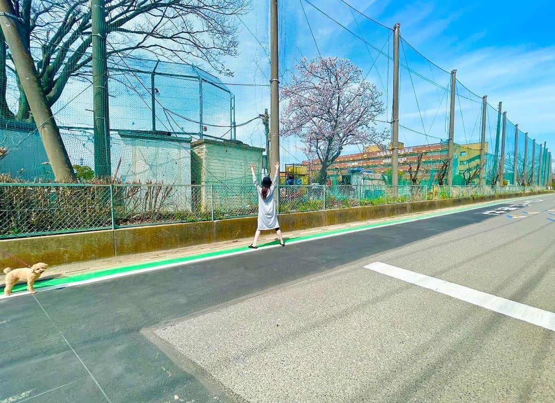 のインスタグラム：「中学懐かしい😍😍😍😍 部活の声が響き渡っていて 青春だな〜〜と感じました✨ 私は日本伝統文化部(茶道 華道 お琴)だったので、部室で聞こえるグラウンドからの部活の掛け声が好きでした😆😆😆  #埼玉県#越谷市#こさぶろうがチラっ」