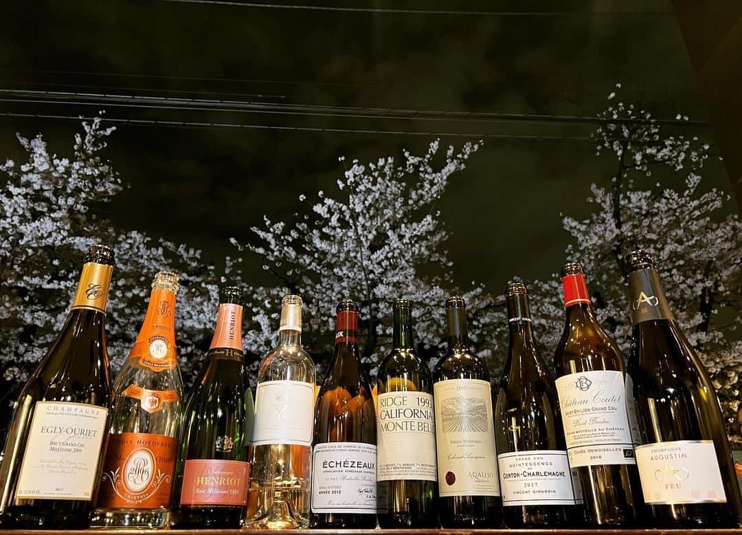 石條遥梨のインスタグラム：「・ ・ ・ 🌸お花見ワイン🌸 ロゼが映える♡ ・ ・ ・ イグレック、パヴィヨンブランみたいなパッションフルーツ系の香りが強いワイン、好きだなぁ どれも美味しかったなぁ、、🤭💛 ・ ・ ・ #お花見#目黒川#ワイン会」