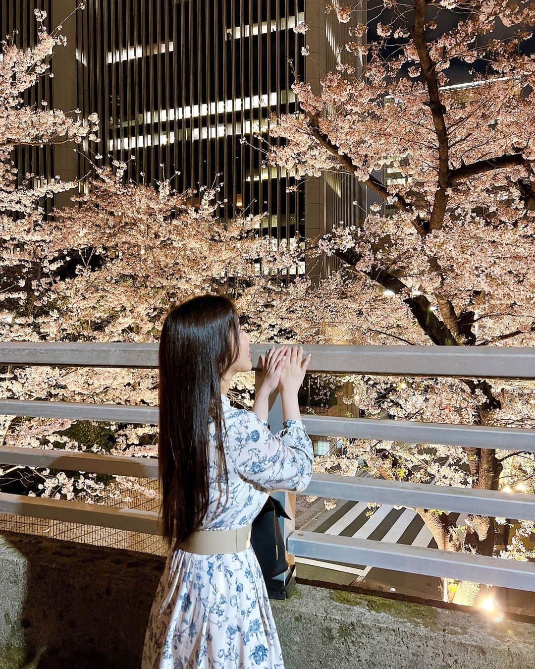 さわいえりさんのインスタグラム写真 - (さわいえりInstagram)「夜桜🌸  都内は桜の綺麗なスポットばかりなのに、 なかなか行く機会が無い… ごはんの帰りに赤坂の夜桜見に行ったよ☺︎  綺麗過ぎて、酔ってないのにハイテンションなった♪笑  ・  ・  ・  #夜桜#赤坂#赤坂の桜#お花見#綺麗#東京観光」4月2日 21時44分 - beauty_eri7