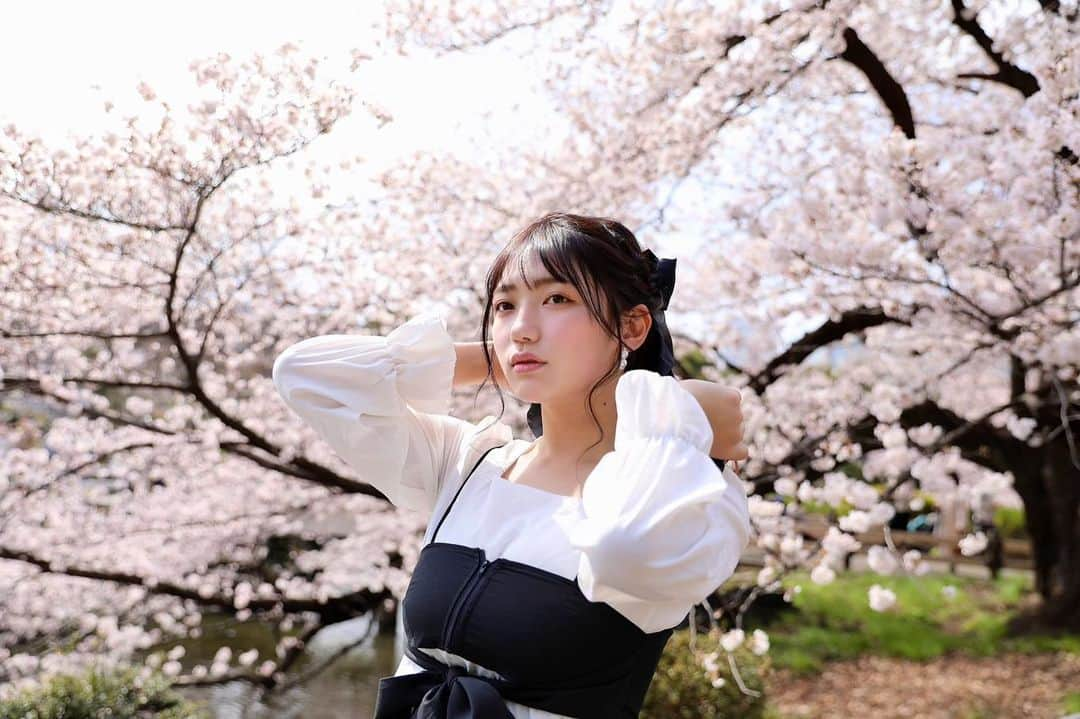 瀬山しろのインスタグラム：「桜🌸 . Photo:たかさん . #japanesegirl #japanese  #cosplay #model #撮影会  #followｍe #hiheels #fashion #kawaii #skirt #girl #me #tokyo #sexy #高身長女子 #dvd #日本人 #撮影会モデル #コスプレ」