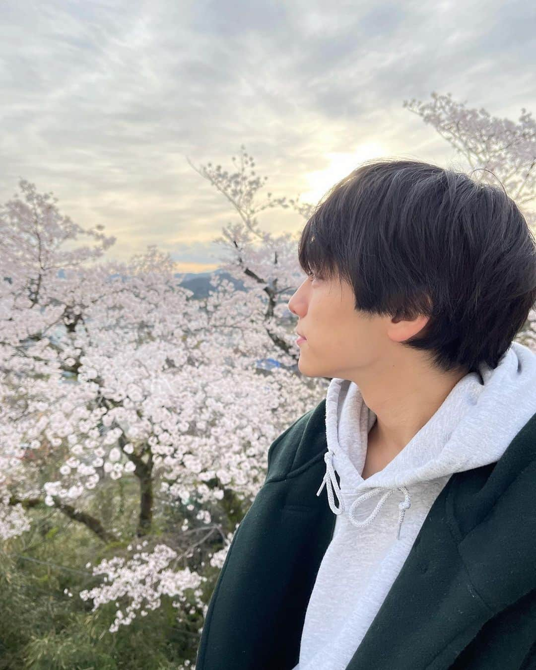 山下幸輝さんのインスタグラム写真 - (山下幸輝Instagram)「朝一のドラマの撮影終わって桜と記念に🌸  4月にして寒い中でのロケでした笑 情報解禁までお楽しみに☺︎☺︎」4月2日 22時26分 - qpitdef