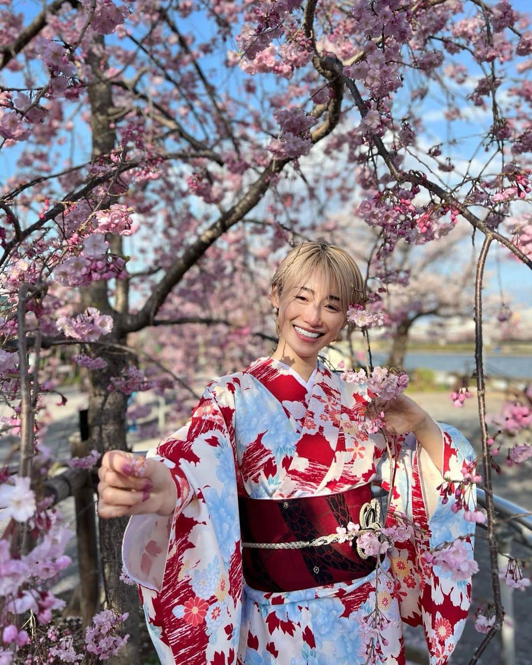 &mのインスタグラム：「桜の一員になりたかったんよね🌸  📸Photo by @gumpsuzuki」