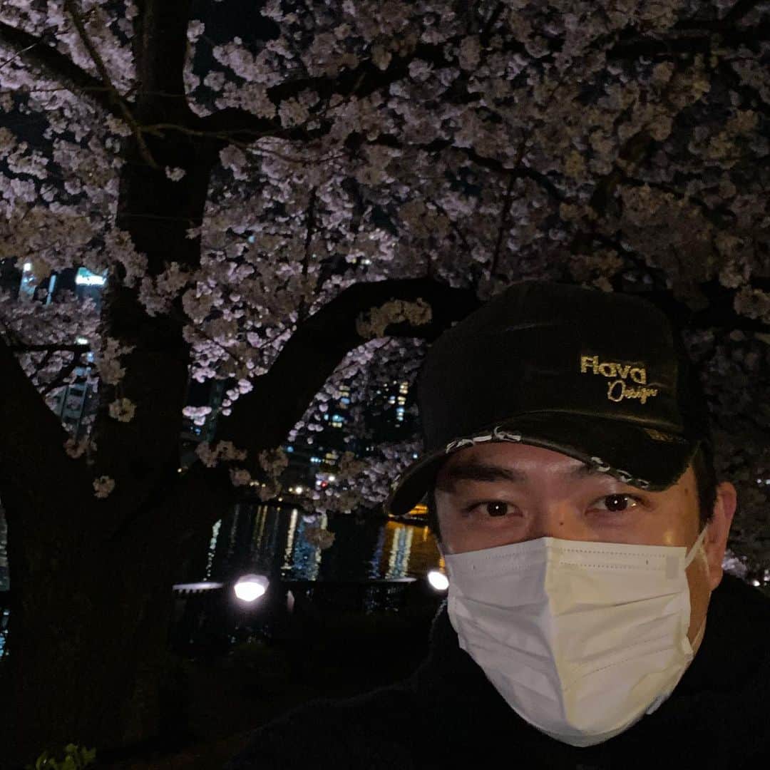 吉村洋文さんのインスタグラム写真 - (吉村洋文Instagram)「夜桜が綺麗、やで。」4月2日 23時07分 - yoshimurahirofumi