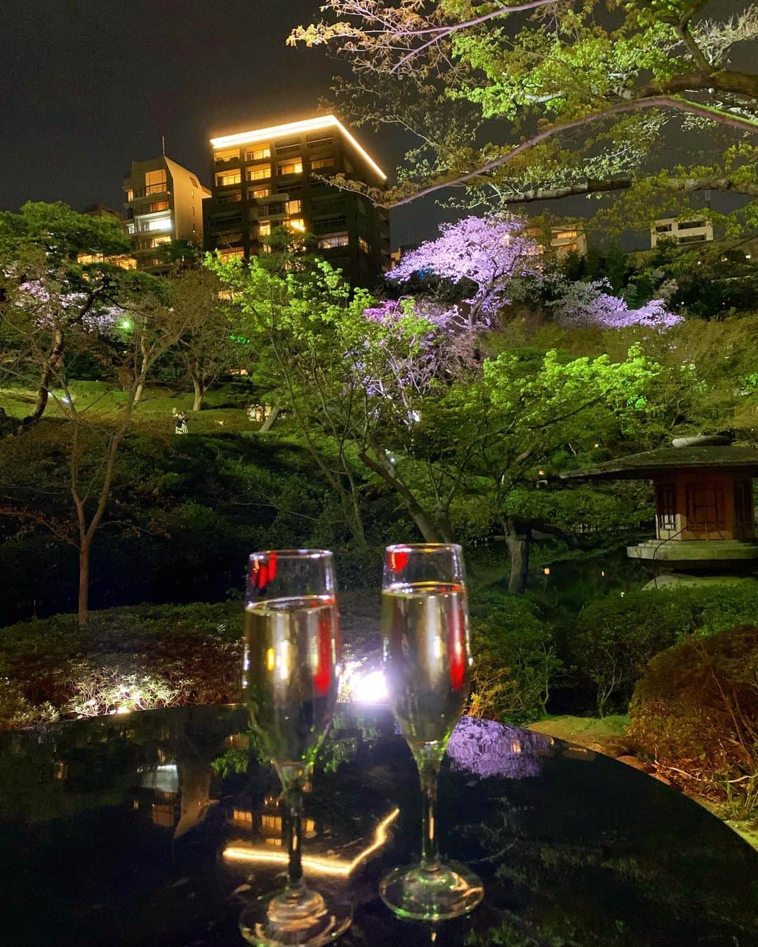 滝瀬世莉のインスタグラム：「今年初🌸  一生懸命生きて、笑顔で、幸せな一年にする🍸  #八芳園 #SAKURAGARDENBAR」