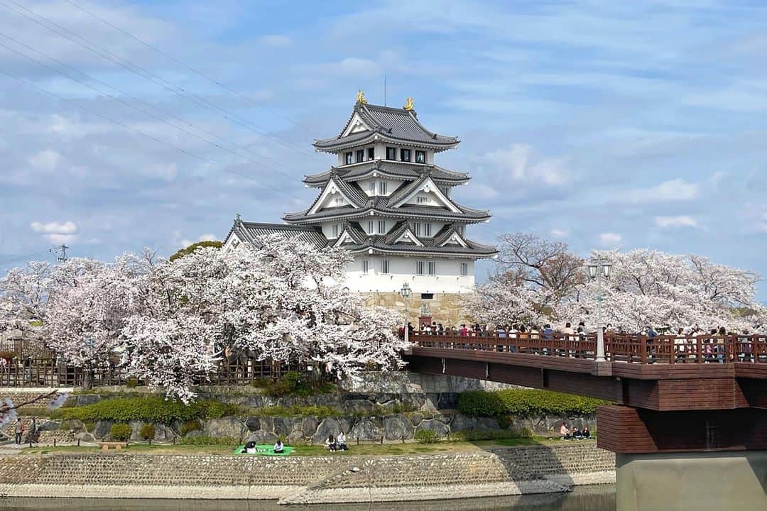 JAPANのインスタグラム：「#墨俣城 #桜」