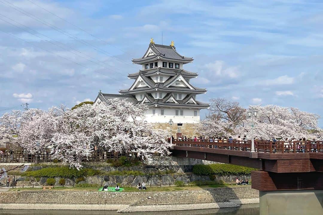 JAPANのインスタグラム