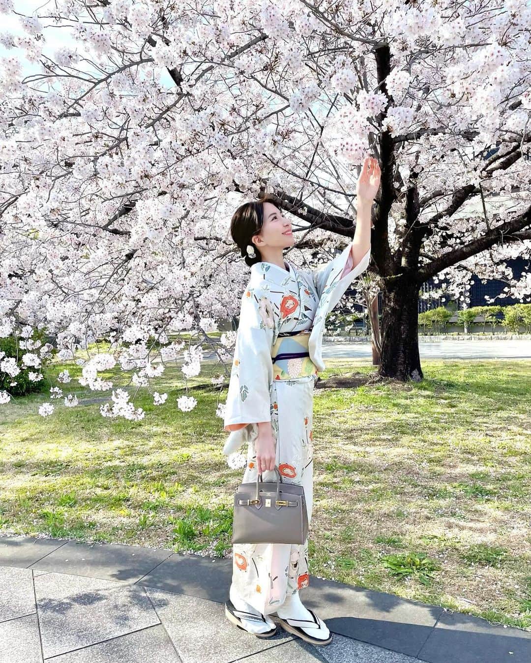 Manaさんのインスタグラム写真 - (ManaInstagram)「🌸👘💕 𝑲𝒊𝒎𝒐𝒏𝒐 & 𝑪𝒉𝒆𝒓𝒓𝒚 𝒃𝒍𝒐𝒔𝒔𝒐𝒎𝒔 . お着物を着て、名古屋城の桜まつりと 能楽堂の横に新しくできた 蓬左へ行ってきました😊🐾 . 桜が満開でどこを切り取っても綺麗💘 . 沢山写真を撮ったので載せきれない…🥺 とりあえず蓬左に行く前のお花見中の写真だけを♫🌸 . . . ちなみにお着物は🌷 アンティーク着物が充実している 今日実さんの「まちあるきものレンタル」プラン . @kyoumi_oosu @kyoumi_machiarukimono . 今回はきれいめのコーディネートにしてみましたが 個性的で気になるお着物や帯も沢山あったので 次回は勇気を出してしっかり挑戦してみたいなとおもいます🤭♡ . . . The cherry blossoms are in full bloom.  Sooo pretty! Then, I rented a kimono at my favorite shop♡ You should check it out! . . . . . #japanesespring #cherryblossom #cherryblossoms #能楽堂 #名古屋能楽堂 #蓬左 #名古屋観光 #名古屋城 #金鯱 #きもの #きものコーディネート #アンティーク着物 #現代着物 #今日実 #着物レンタル #まちあるき #着物女子 #和服 #桜まつり #満開の桜 #満開🌸 #日本の春 #桜2022 #はなまっぷ2022 #お花見 #桜の木 #桜の花 #春が好き #樱花 #벚꽃」4月3日 8時24分 - mana.tcy