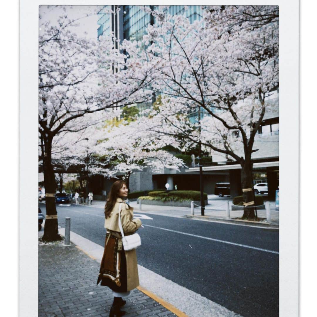 新山千春さんのインスタグラム写真 - (新山千春Instagram)「もあと2人で行った 中学卒業の旅行🎣！！  また改めて写真アップしますね。  昨日は収録終えて、 お花見🌸してきたよ。  綺麗に咲いてて、 　見事なピンクに癒された 幸せな時間でしたぁ🌸  #桜 #pink #japan #お花見 #新山千春 #夜桜」4月3日 10時15分 - chiharuuu_0114