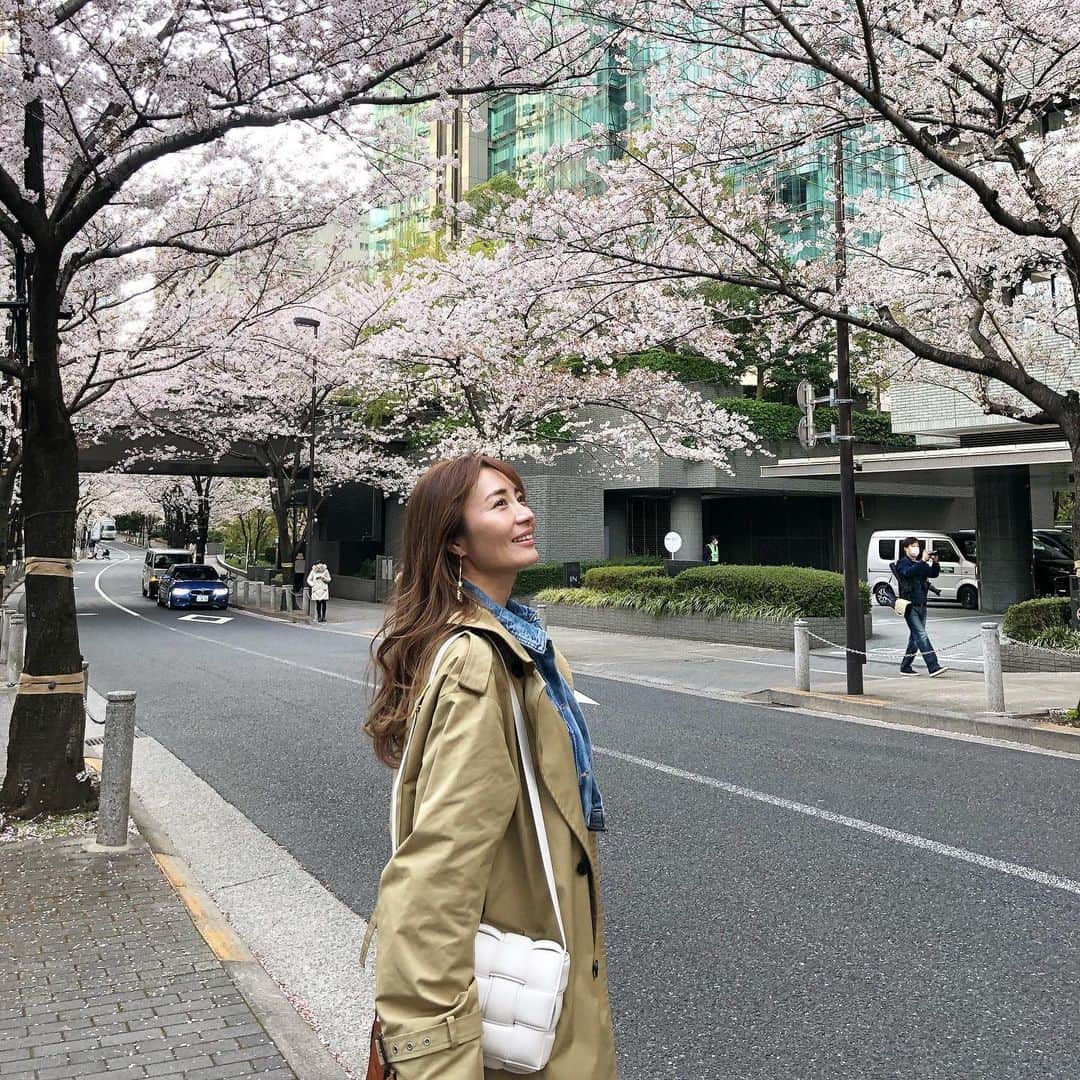 新山千春さんのインスタグラム写真 - (新山千春Instagram)「もあと2人で行った 中学卒業の旅行🎣！！  また改めて写真アップしますね。  昨日は収録終えて、 お花見🌸してきたよ。  綺麗に咲いてて、 　見事なピンクに癒された 幸せな時間でしたぁ🌸  #桜 #pink #japan #お花見 #新山千春 #夜桜」4月3日 10時15分 - chiharuuu_0114