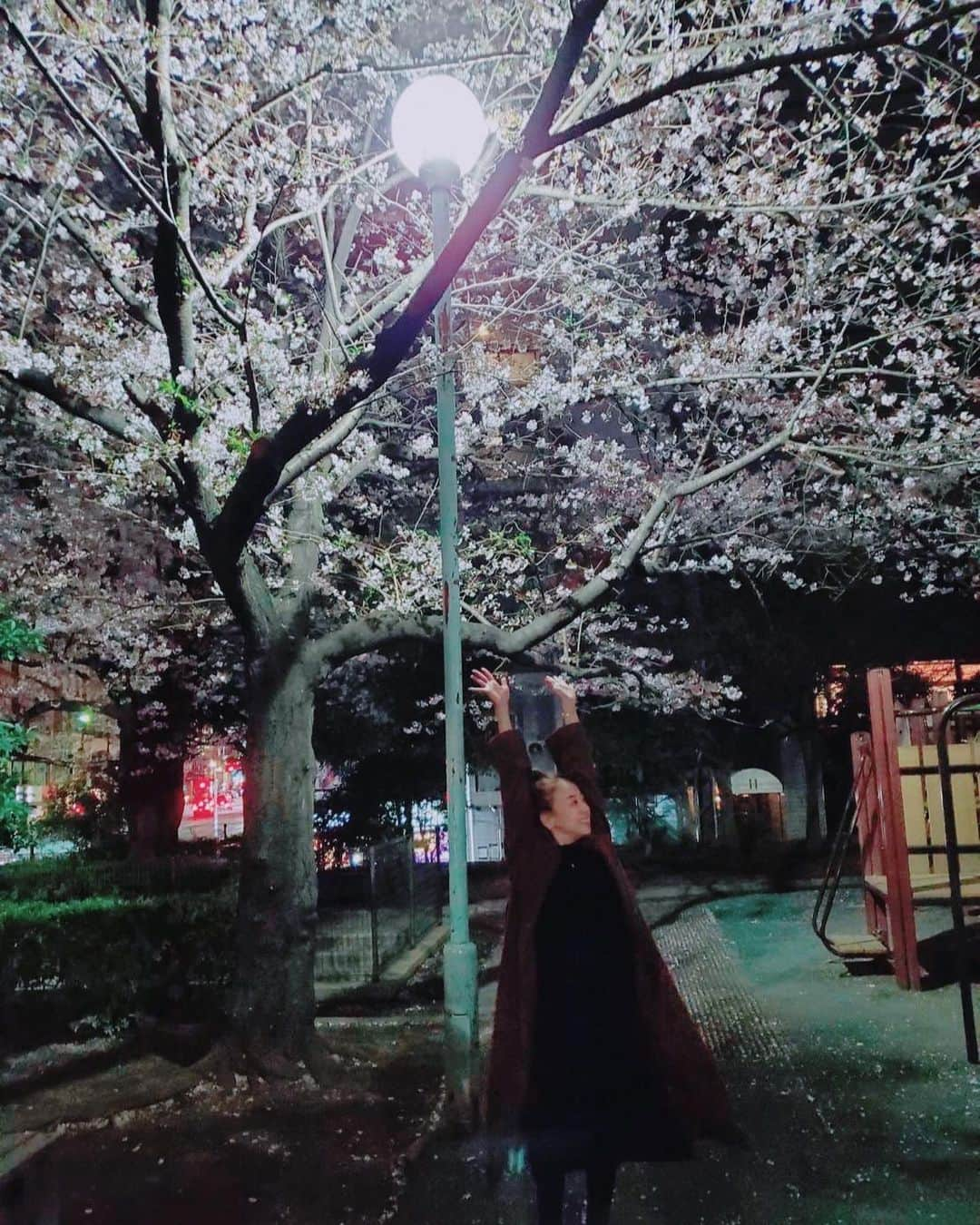 あびる優さんのインスタグラム写真 - (あびる優Instagram)「夜桜🌸🌙💕  #sakura#cherryblossom#さくら#桜#サクラ##夜桜#🌸#💕」4月3日 10時36分 - yuabiru74