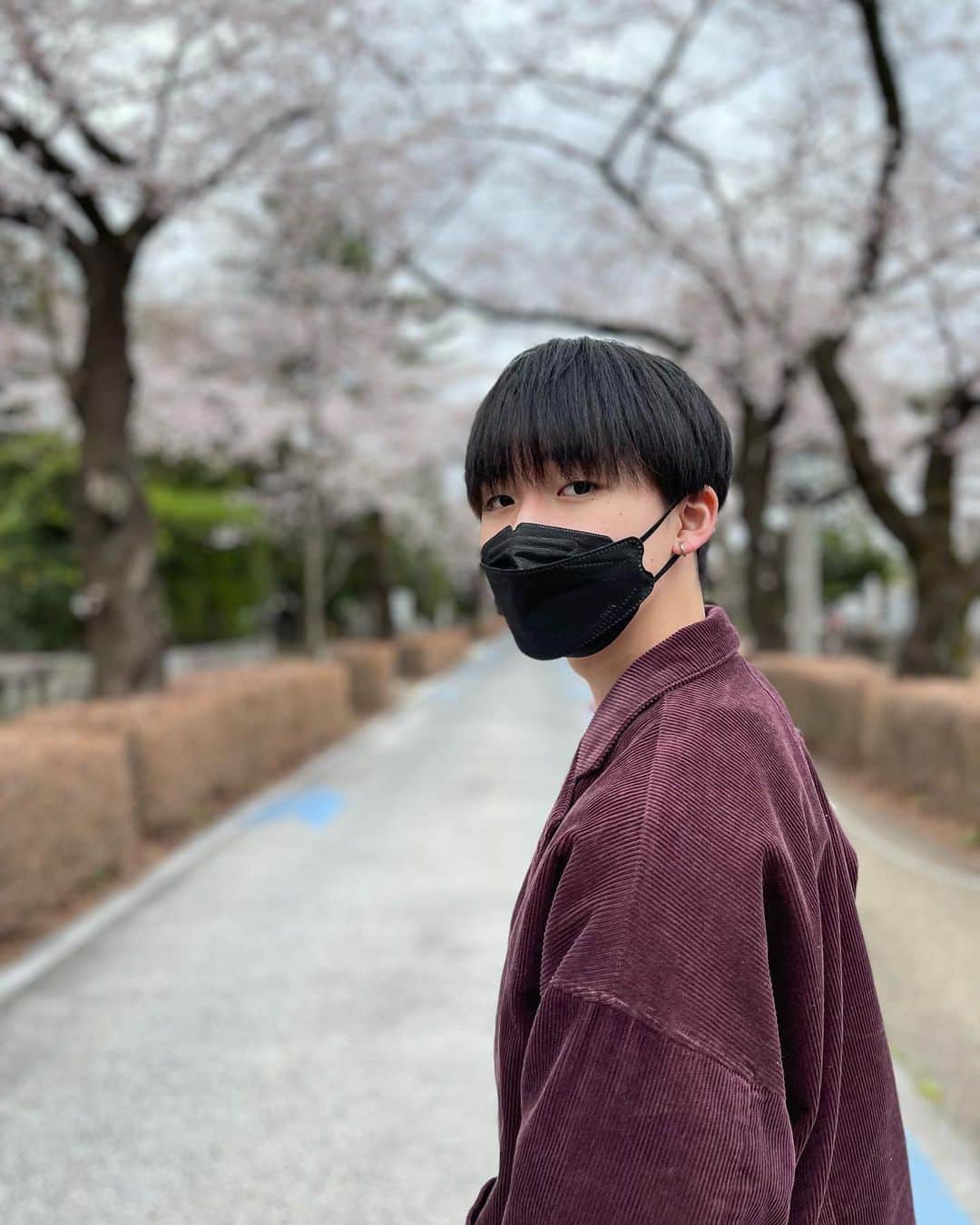 石橋陽彩さんのインスタグラム写真 - (石橋陽彩Instagram)「🌸‪𓂃 𓈒𓏸໒꒱   #桜」4月3日 11時07分 - hiiro_ishibashi
