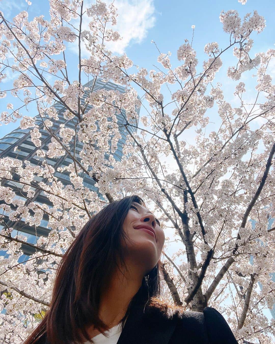 梅野舞さんのインスタグラム写真 - (梅野舞Instagram)「桜が満開🌸の水曜日♡♡ 今年も美しく綺麗な桜が街を鮮やかに彩ってくれて、毎日毎日😍💕あぁ綺麗💕って癒してもらいました✨✨  今日のこの雨で散ってしまうかな🥺  春の到来と共に訪れる桜は🌸 最高のご褒美です✨✨  #桜#桜大好き#満開の桜#今年もありがとう #春#spring #sakura #癒し#優美#純潔#綺麗#美しい#happy #instagood #instagram#instagramjapan」4月3日 20時49分 - mai.umeno
