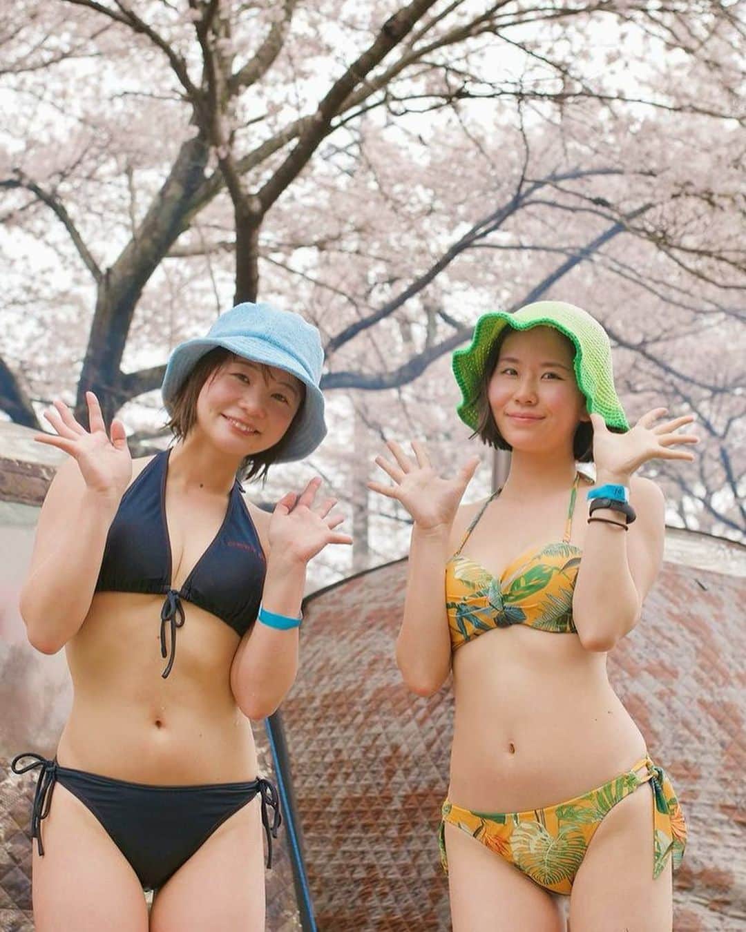 奈良岡にこのインスタグラム