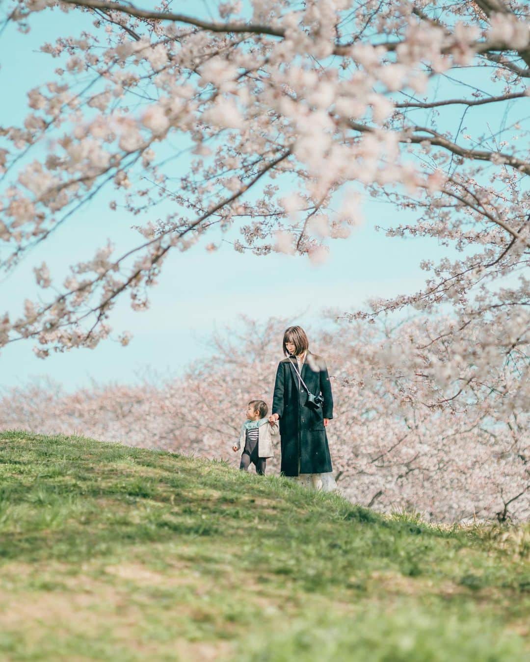 Kobe Japan Water artのインスタグラム：「"Sakura🌸". 1番大きな桜を探してるよ👶」