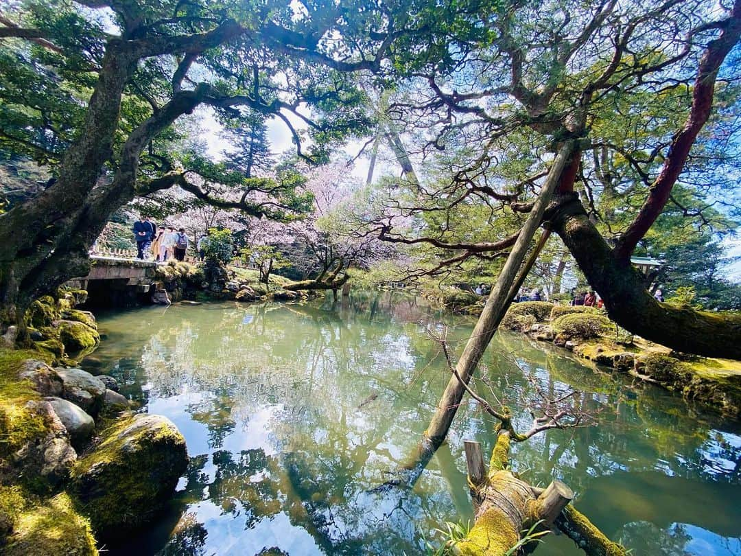 秋山希望のインスタグラム：「. 兼六園 初めて入ったけど風情があって良かった🍃  また金沢来たらお散歩しよう✨  #金沢 #兼六園 #無料開放 #梅の花 #桜の満開はもう少しかな」