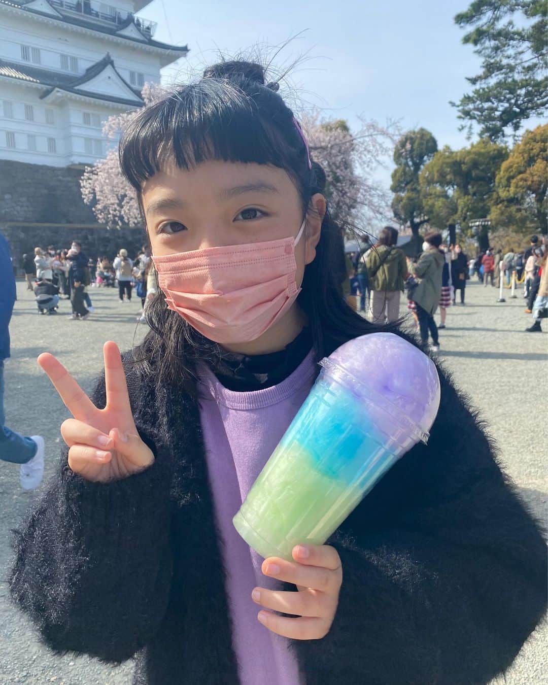 ayuさんのインスタグラム写真 - (ayuInstagram)「🌸🏯 今年もここに桜のソフトクリームを食べに。 毎年心から思うけど、ここの桜餅ソフトクリームが日本一おいしいと思う🫠🍦🌸 今年はもうひとつ違う種類の桜ソフトも食べれて嬉しい🌸♡ もちろん桜も綺麗でした！ #小田原城」4月3日 17時19分 - memeyuyu