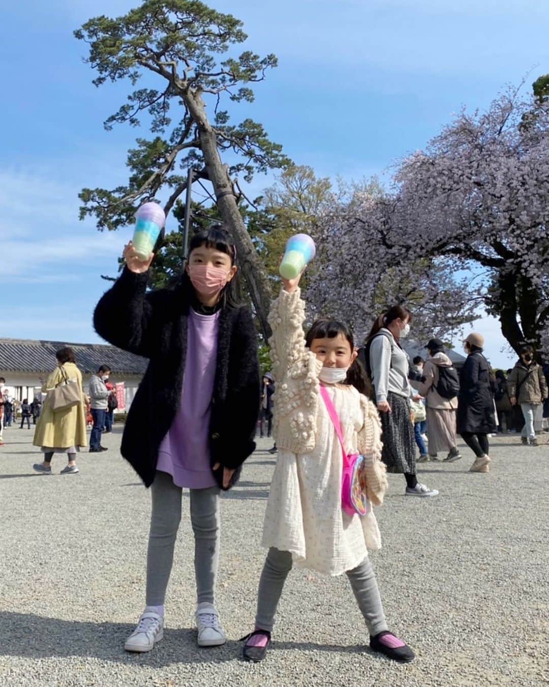 ayuさんのインスタグラム写真 - (ayuInstagram)「🌸🏯 今年もここに桜のソフトクリームを食べに。 毎年心から思うけど、ここの桜餅ソフトクリームが日本一おいしいと思う🫠🍦🌸 今年はもうひとつ違う種類の桜ソフトも食べれて嬉しい🌸♡ もちろん桜も綺麗でした！ #小田原城」4月3日 17時19分 - memeyuyu