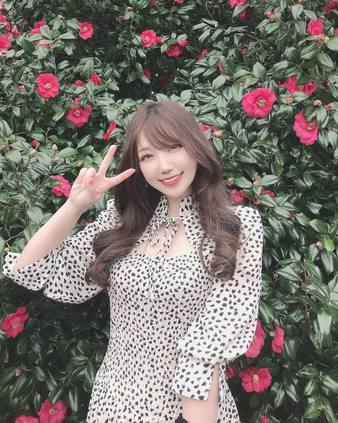 永瀬那奈のインスタグラム：「#✌️ #新宿御苑 #椿 #お花見」