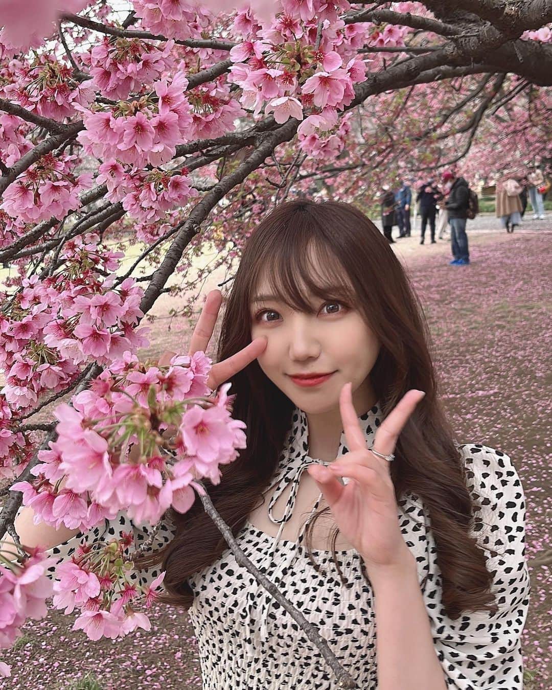 永瀬那奈のインスタグラム：「🌸✌️🥸✌️🌸 #文章が苦手だよ　  #新宿御苑 #お花見 #桜」