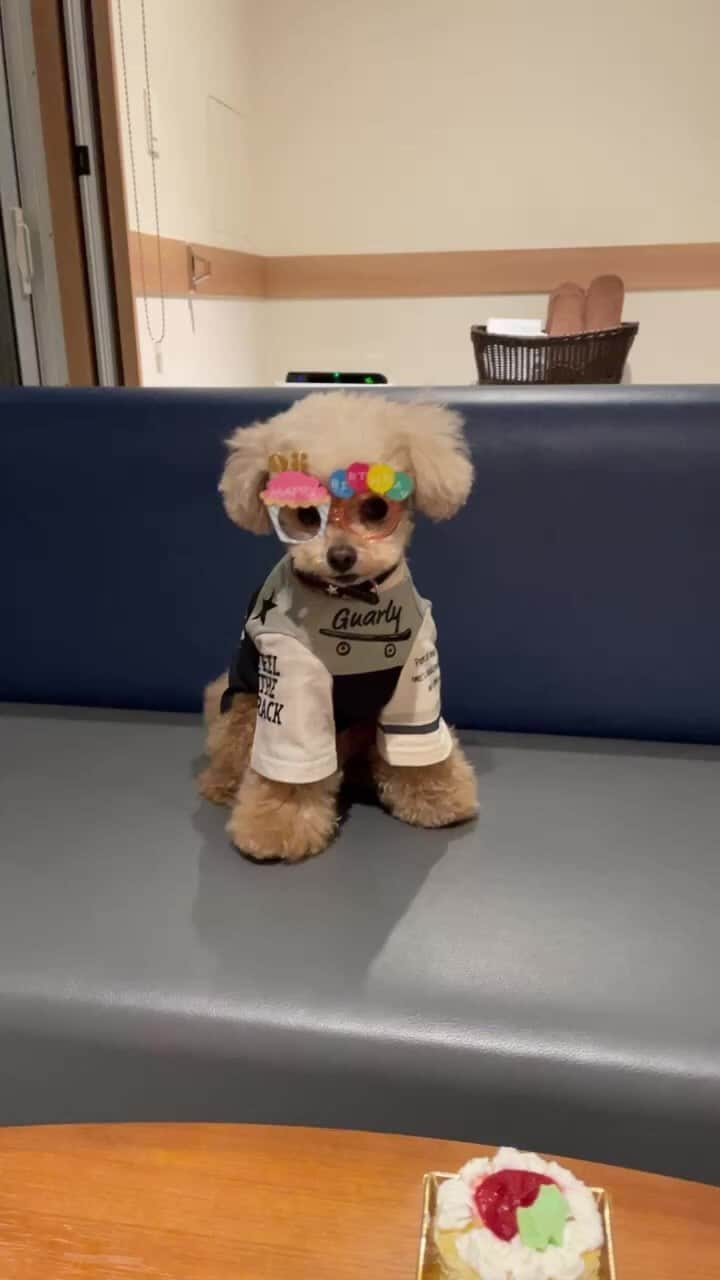 ❤︎Till❤︎のグルメインスタ