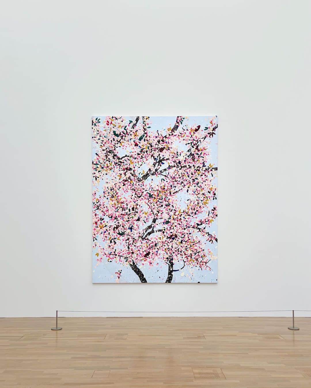 田原可南子さんのインスタグラム写真 - (田原可南子Instagram)「🌸🍃🎨  ここでならまだお花見できるね☺️  #damienhirst #cherryblossoms」4月3日 20時05分 - kanakotahara