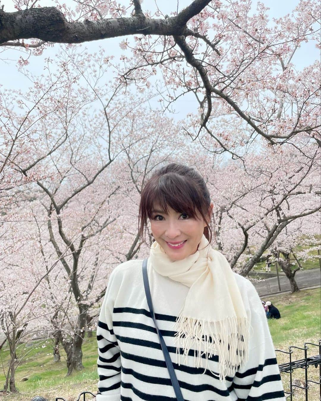 山田佳子さんのインスタグラム写真 - (山田佳子Instagram)「春のお散歩は最高🌸🌸🌸 ⁡ #桜 #キレイ #八分咲き #ピンク色に染まる #春 #気持ちいいね #いい季節 #花冷えの日 #土曜日 #お散歩大好き」4月3日 20時10分 - yoshiko117