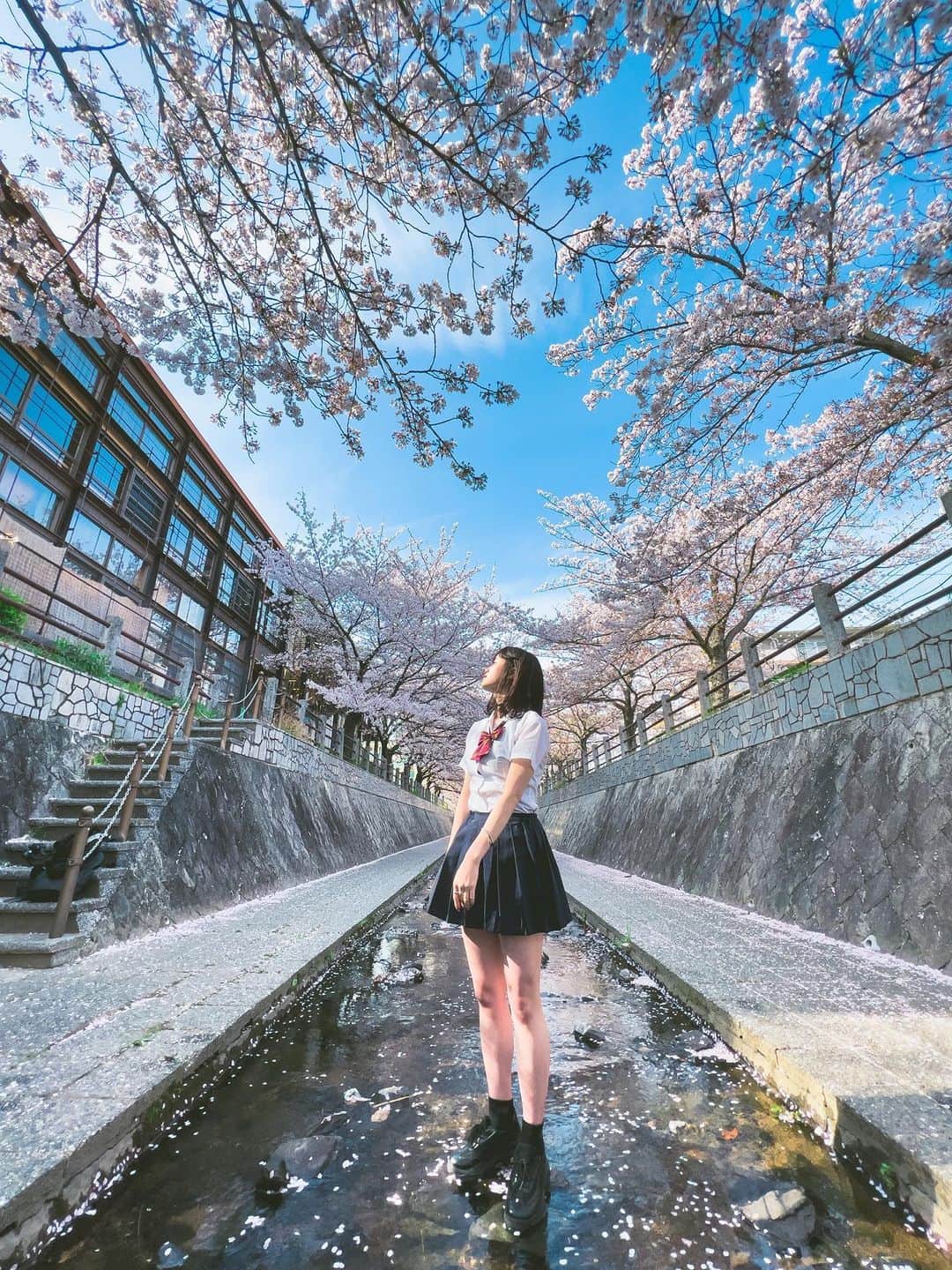 あああつしのインスタグラム：「桜🌸×逆再生 #桜 #cherryblossom  w/ @fuyukazeasobi」