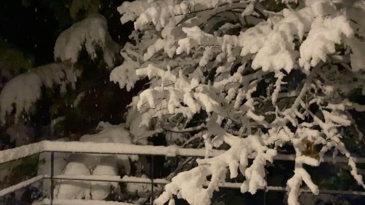 藤沢久美のインスタグラム：「今日は朝から晩まで雪でした。 #山梨」