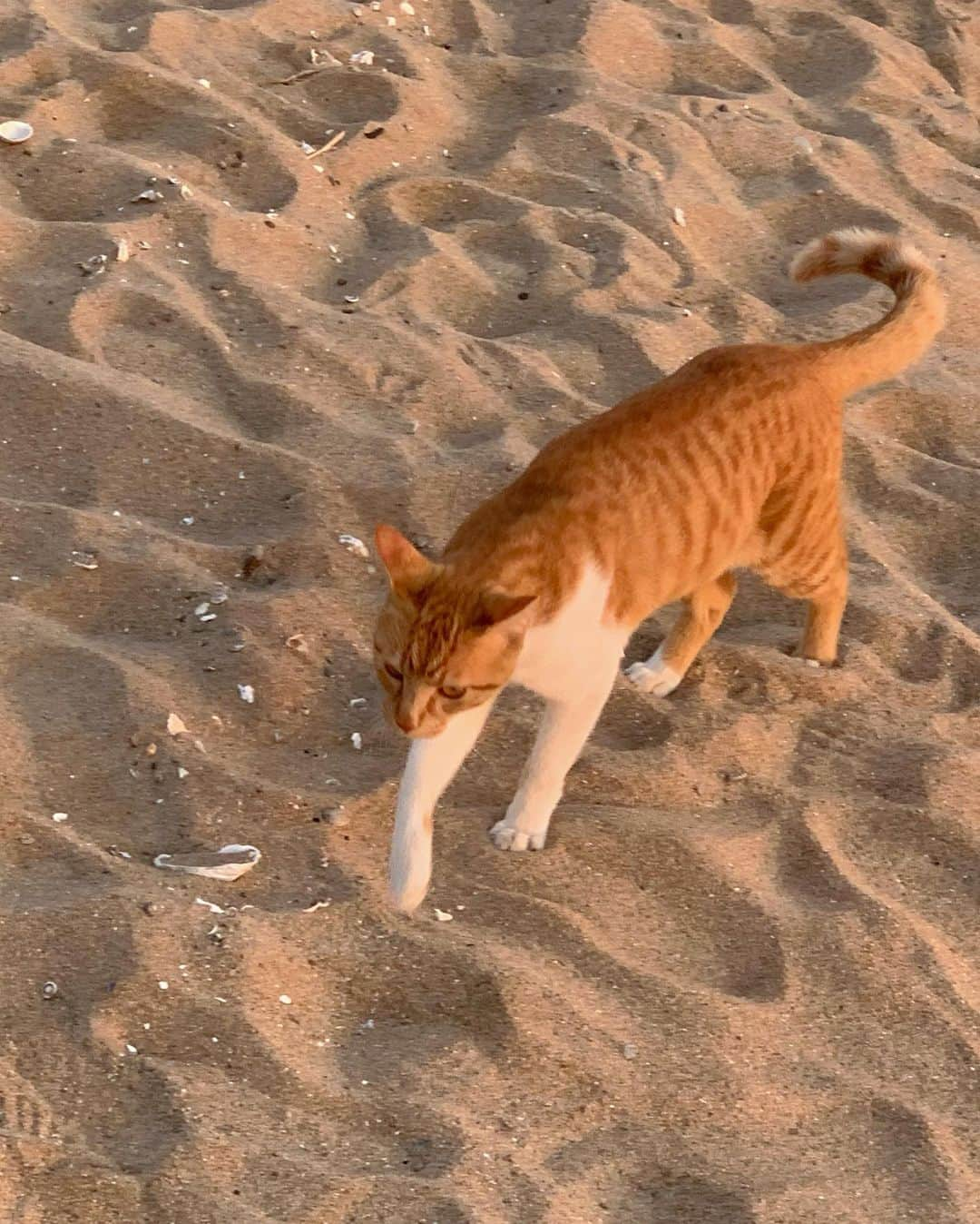 カン・ギョンミンさんのインスタグラム写真 - (カン・ギョンミンInstagram)「잠시 노트북 던지고 쉬었던 날  선물 같았던 s u n s e t 🌤」4月3日 23時31分 - kkmmmkk