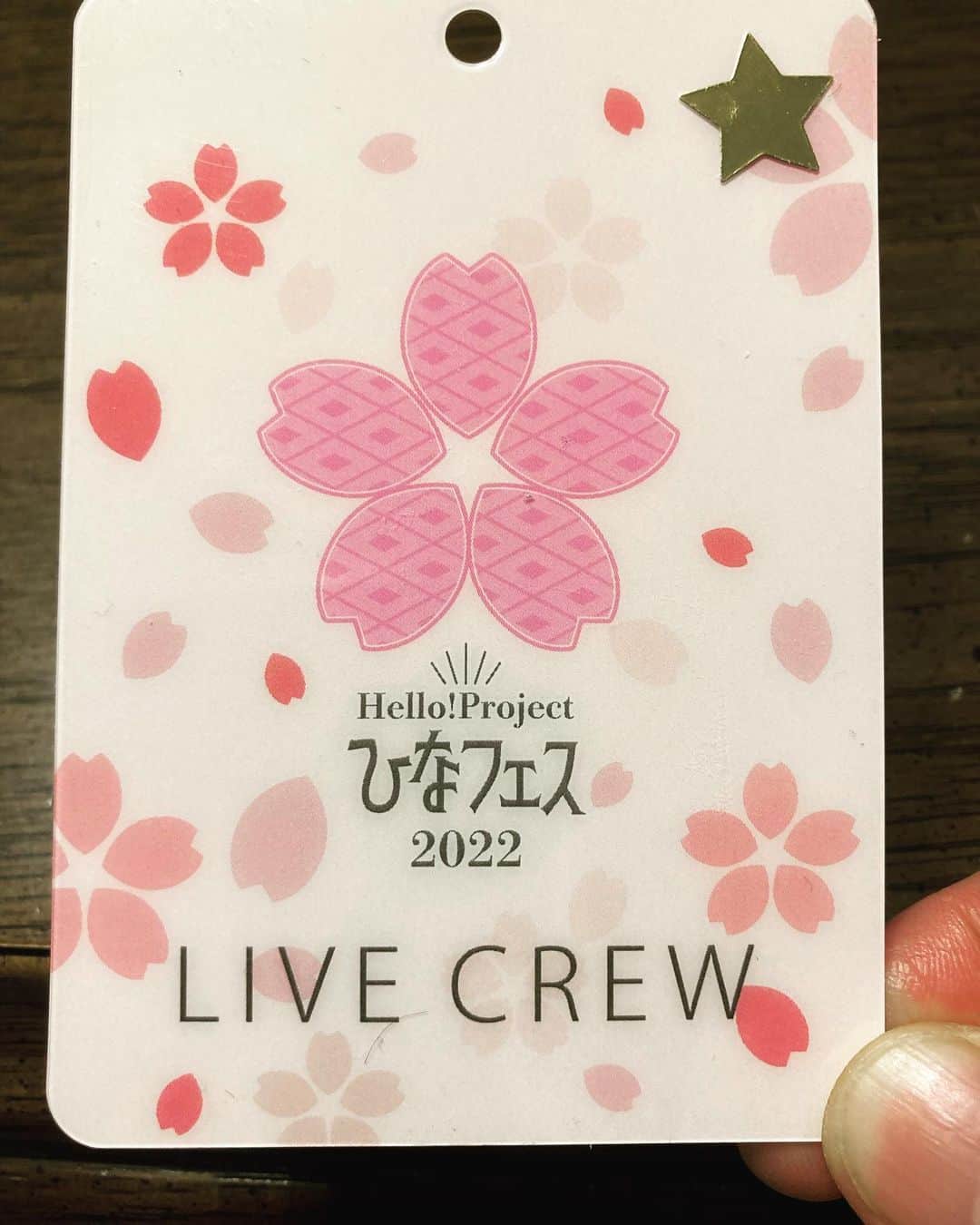 たいせいのインスタグラム：「「ひなフェス」2日間4公演無事終了しました。 会場に来てくださった方、映画館へ足を運んで下さった方、配信を観て下さった方、皆さんありがとうございました！😊😊」