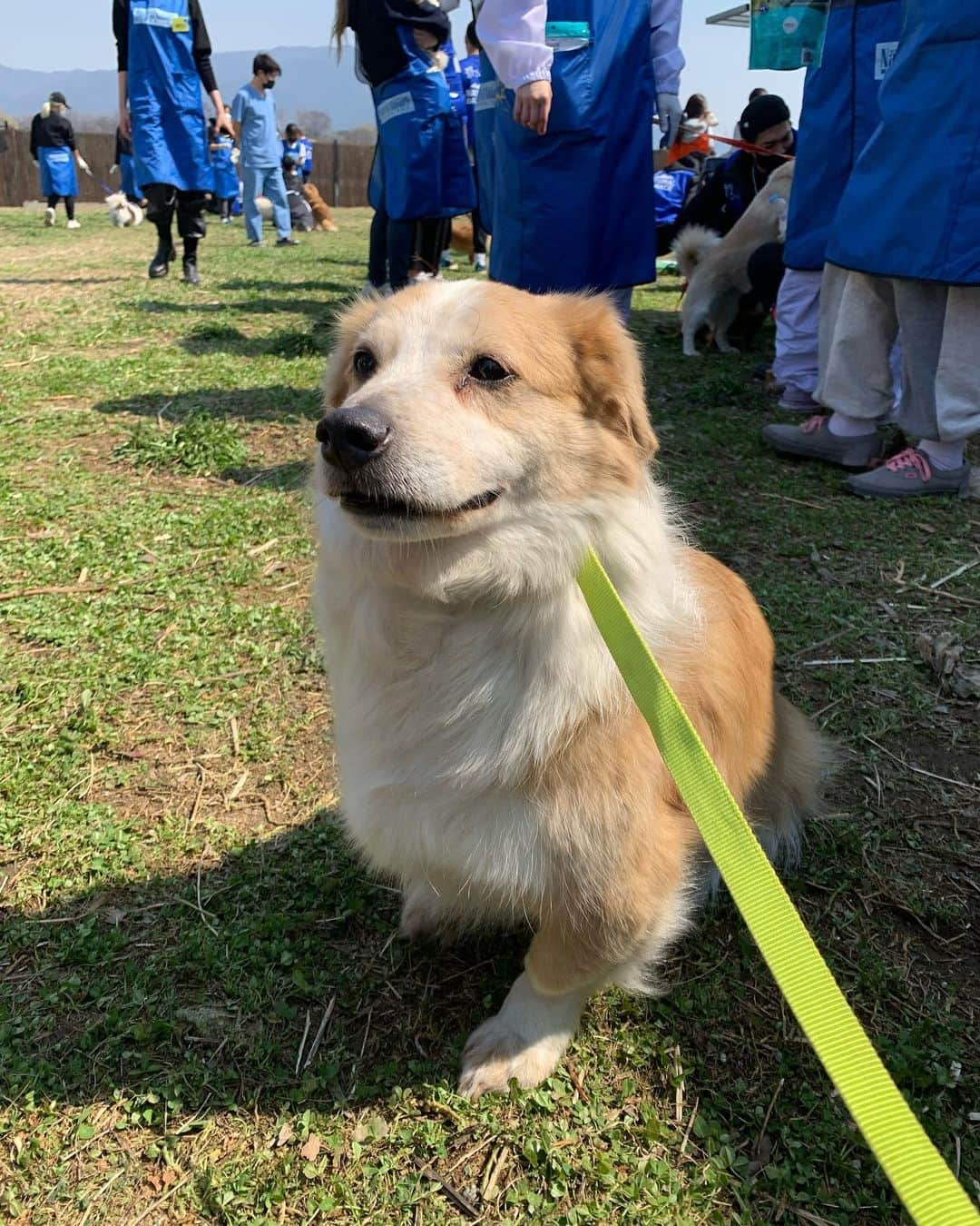 イ・テファンさんのインスタグラム写真 - (イ・テファンInstagram)「이쁜 아이들🐶🐱 #사지말고입양하세요」4月4日 15時52分 - leetaehwan0221