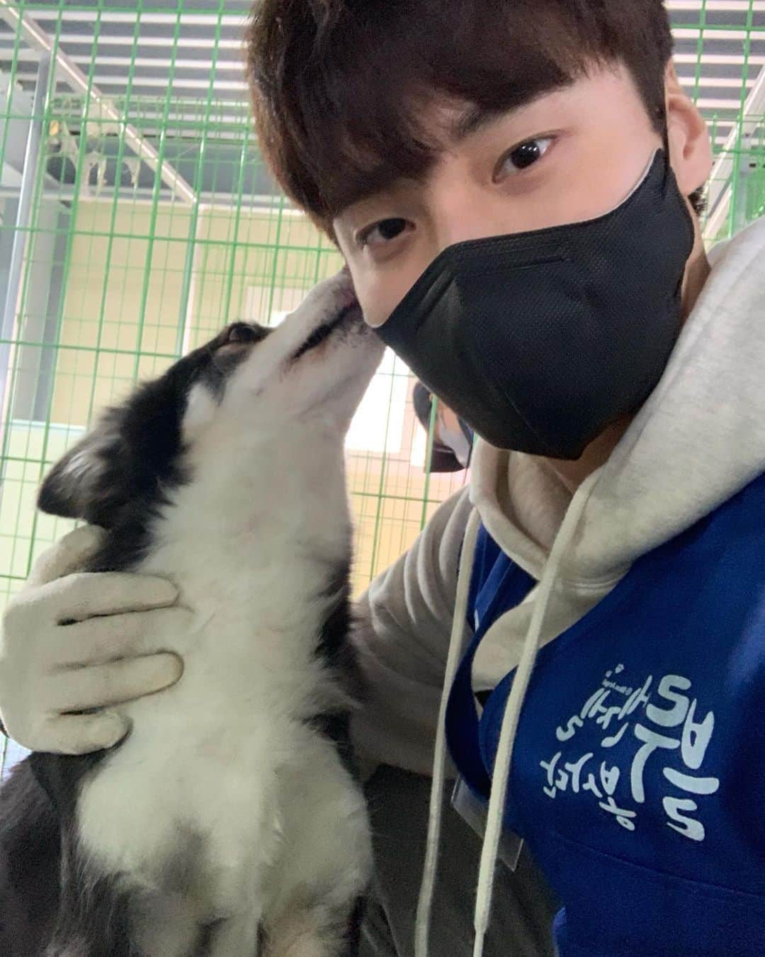 イ・テファンのインスタグラム：「이쁜 아이들🐶🐱 #사지말고입양하세요」