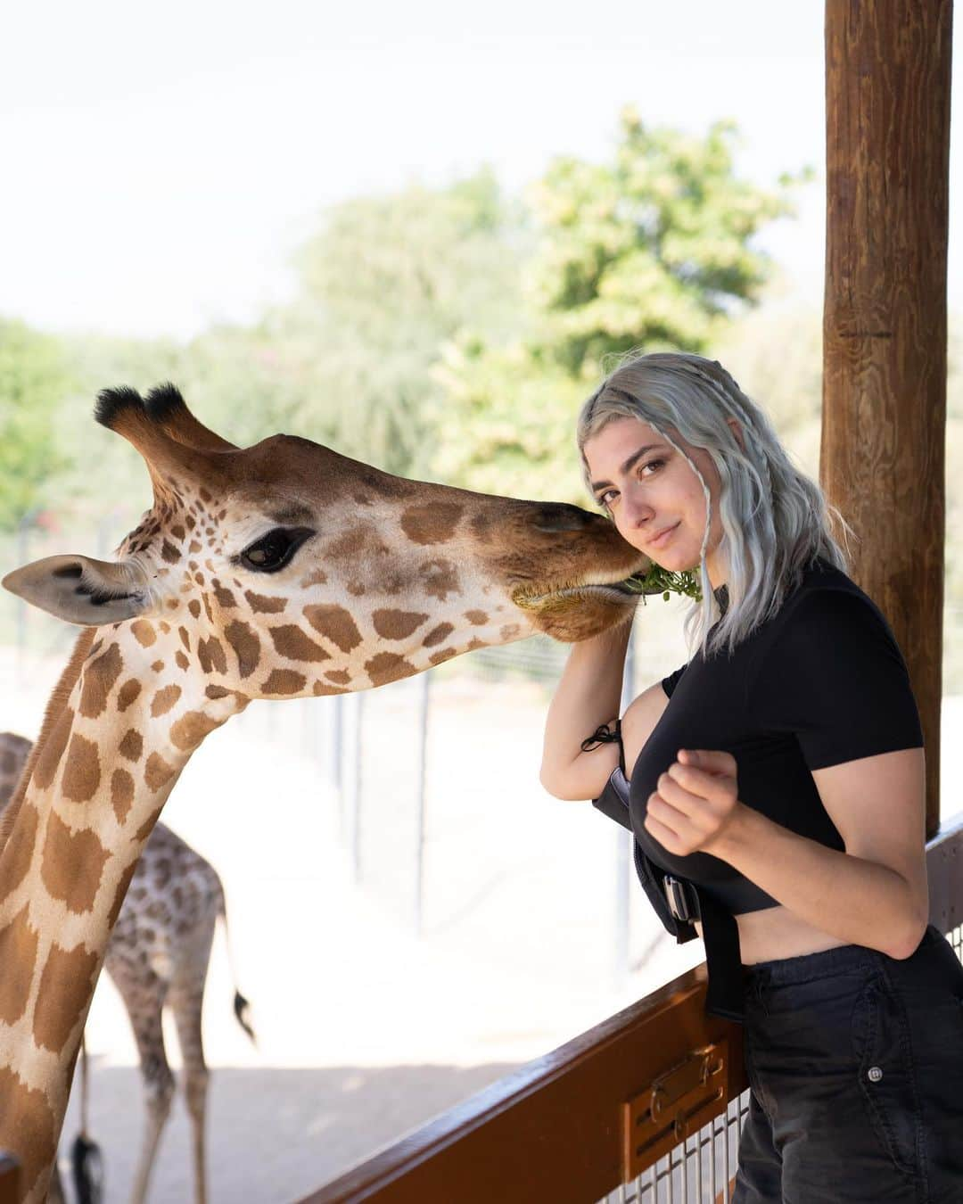 レイチェル・レビンのインスタグラム：「First meet and greet i fangirled during ngl」