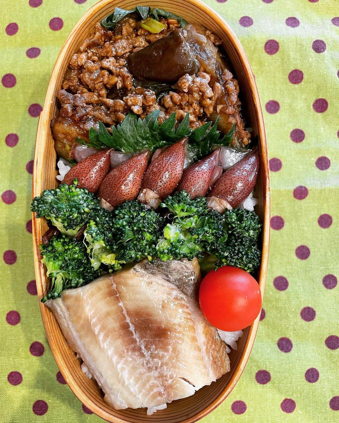 中島静佳さんのインスタグラム写真 - (中島静佳Instagram)「今日のお弁当と、載せていなかったお弁当たち。 今日は一段と寒いですね。冬に逆戻りのよう。温かくして過ごしましょう！」4月4日 9時13分 - shizuka617nakajima