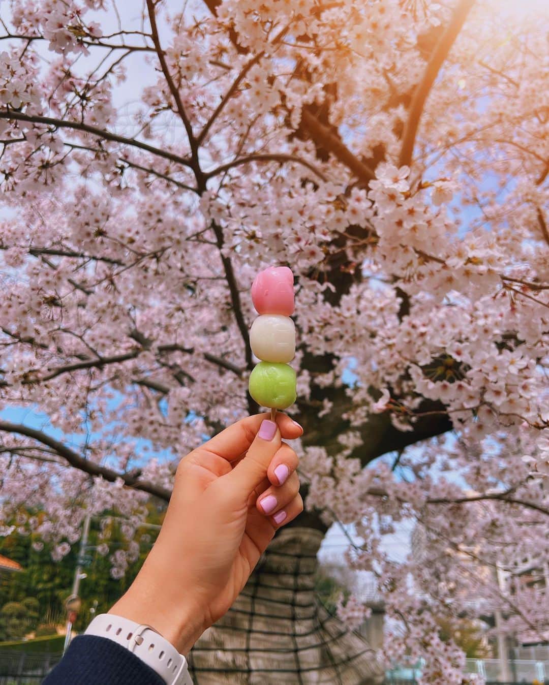 Girleatworldのインスタグラム：「🌸🍡 A fleeting beauty - Sakura blooms last only a week every year. The petals are delicate and fragile. Once they reach full bloom, they constantly shed with even the gentlest sway from the wind. So while they're here, we have to appreciate it!  This rice cake snack is called Hanami dango. It's so important to japanese culture that there is even an emoji for it 🍡 Since sakura blooms doesn't last long, it became an important tradition to go to the nearest park with picnic mats and some packed food for sakura viewing, known as Hanami.  Hanami 花見 means "watching flowers" (hana 花 = flowers; mi 見 = eyes / to watch) and Dango means "rice cake". Japanese people eat dango all-year round, but this variation with pink, white and green is traditionally eaten during Hanami season. The pink color comes from azuki (red bean) and the green is from green tea 🍵  The last time I was in Japan during Sakura season was six years ago. And, this is actually my first time being in Tokyo for it!  #RealLifeEmoji #EmojiIRL #EmojisInTheWild #shotoniphone #iphone13promax」