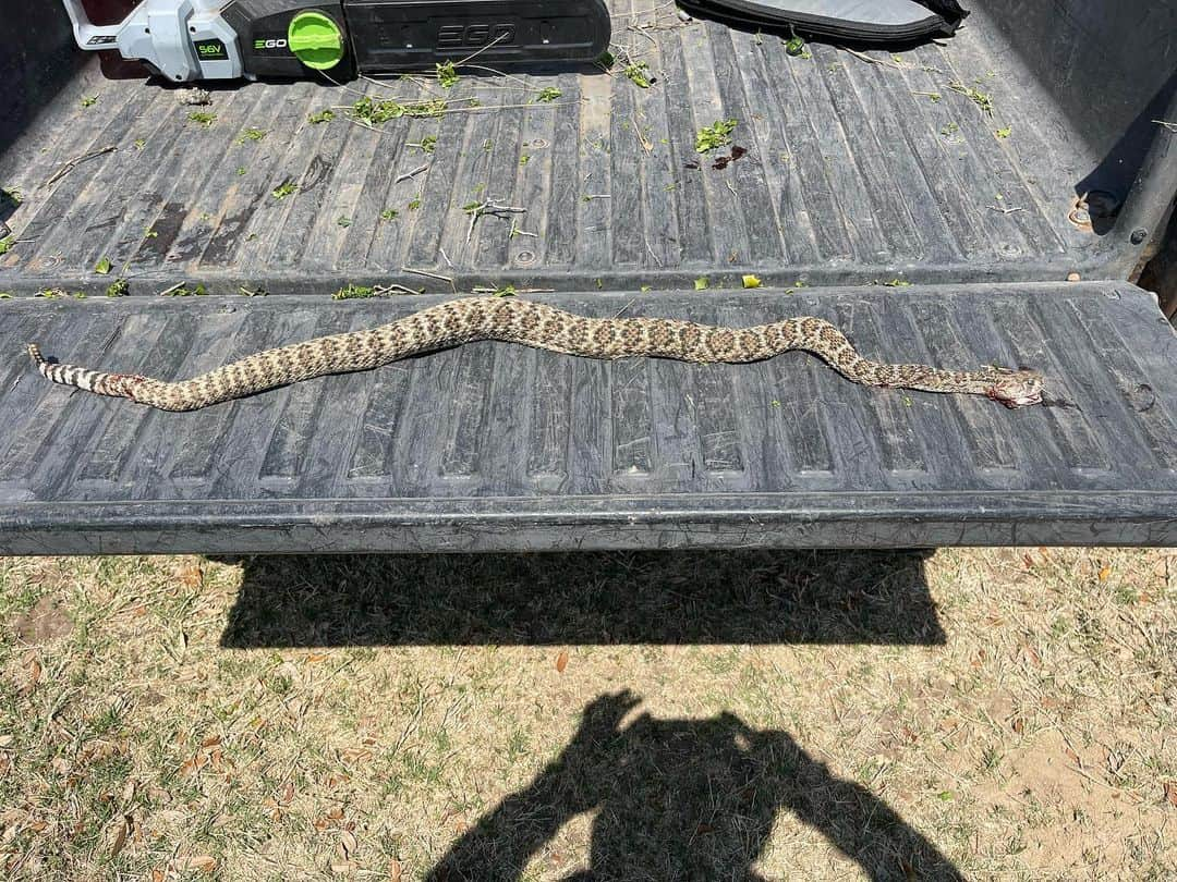 スコット・ノートンさんのインスタグラム写真 - (スコット・ノートンInstagram)「So this happened at the farm.  It was either him or me #winnertakesitall #overthetop #texas #diamondbackrattlesnake #scottnorton #scottflashnorton #farmlife」4月4日 10時58分 - scottflashnorton