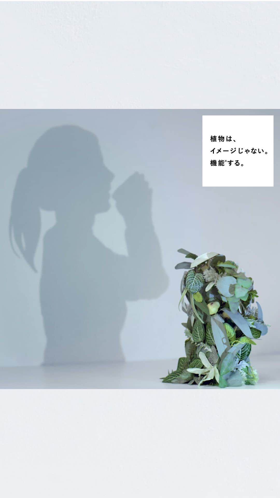 botanist officialのインスタグラム：「【BOTANIST BRAND STATEMENT】 植物は、驚くような力を秘めています。 その力を引き出すことで、無限の可能性を生み出すことができる。 私たちは、そう信じています。  そして、この世界にさまざまな恵みを与えてくれる植物を敬い、植物と共に豊かな未来を目指していきます。  ※「雑草という名の植物は、ない。」は、一般的な名言としてある「雑草という名の草はない」を参考にして作成しています。 ※この動画は、植物の多様な可能性を影アートで表現した映像です。  撮影協力：影アート作家 佐藤江未（MESSY.WORK）  #植物はイメージじゃない機能する #BOTANICALREPORT #BOTANIST #ボタニスト #botanicalbeauty」