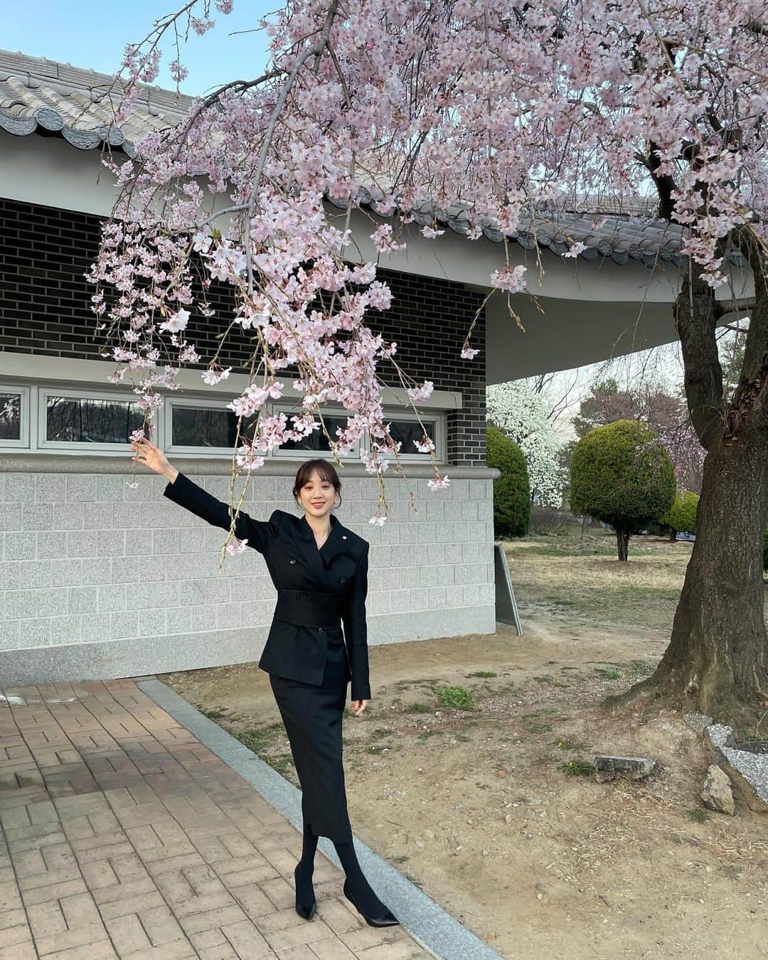 チョン・リョウォンのインスタグラム：「. 일하러 왔는데 왜 꽃사진만 🌸🌸🌸」