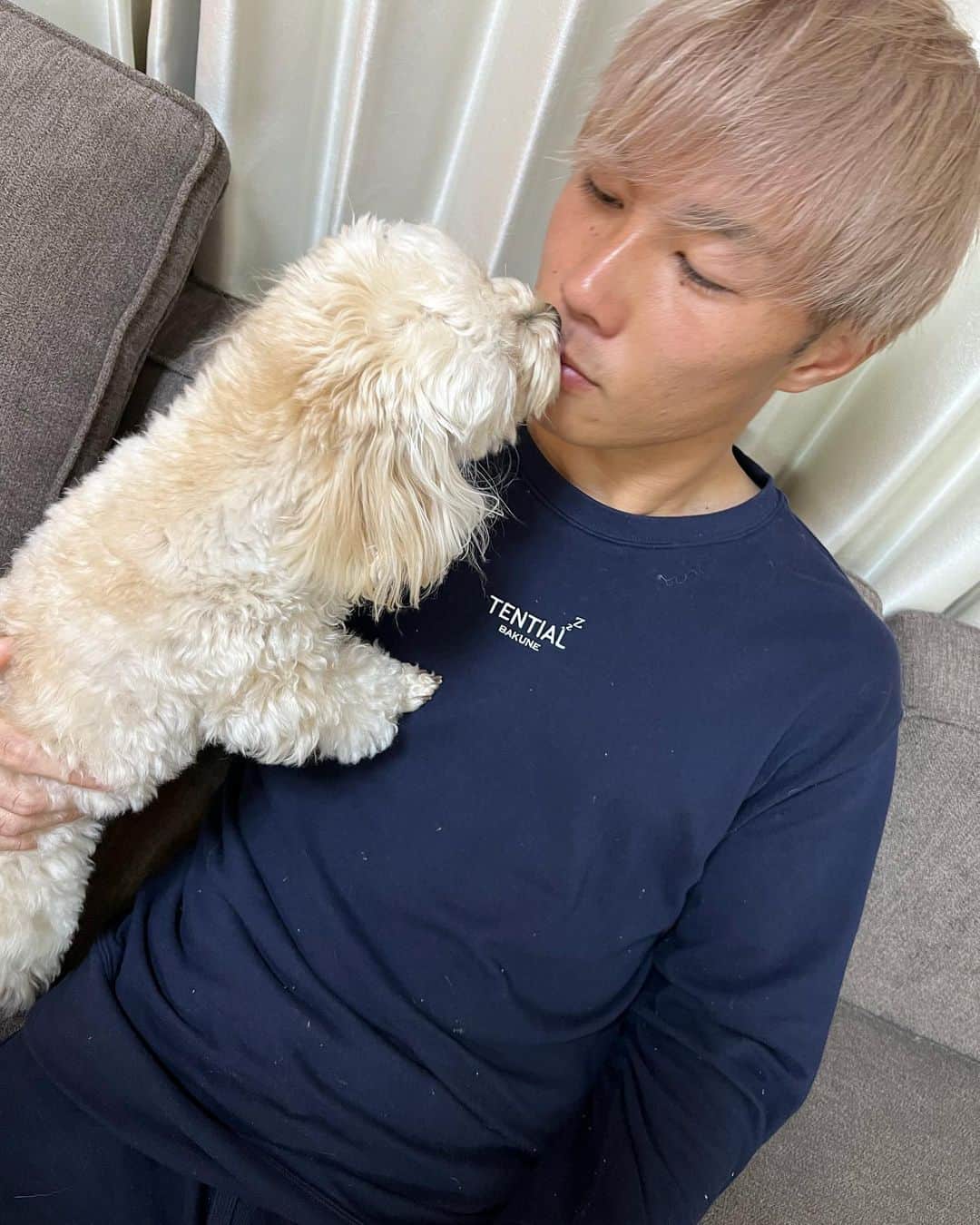 飯田貴敬のインスタグラム：「良いルームウェアを探して、やっと出会えた @tential さんのルームウェアと我が家の可愛い2匹  #BAKUNE #tential #PR」