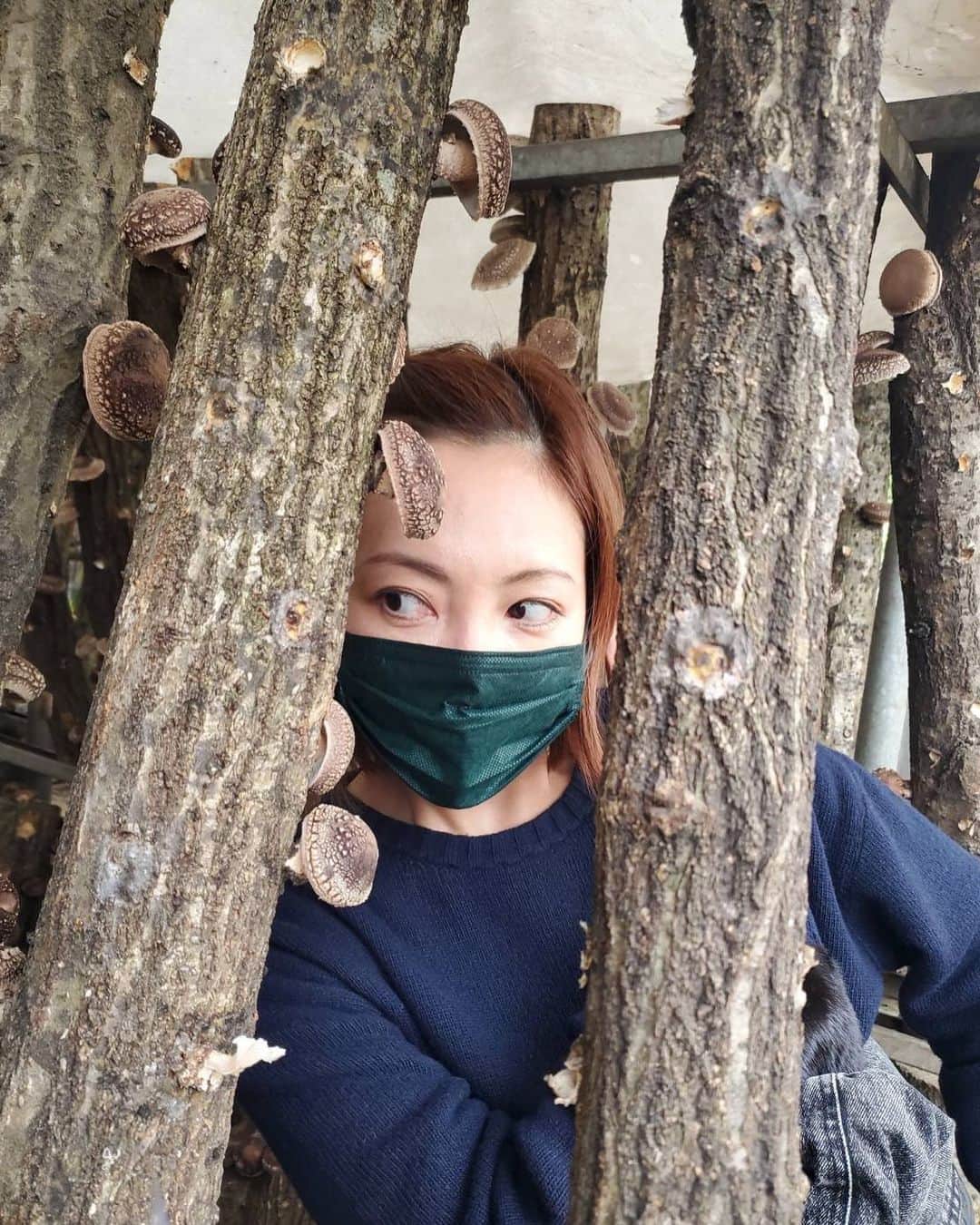 柚希礼音のインスタグラム