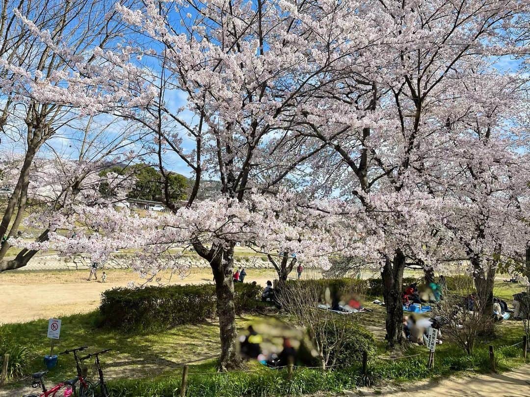 のインスタグラム：「. 【お知らせ】 この春から、 日本テレビ ZIP!特集リポーターになります🌸 ⁡ 事務所に入る時の面接でもいつかZIP!に出たいですと言っていた私、 だからオーディション合格の話を聞いた時 本当に嬉しかったです！ でもずっと憧れの場所だったからこそ 同時にとてつもないプレッシャーも感じています。 ⁡ まだまだ未熟者な私ですが みなさまに明るく情報をお届けできるよう 精一杯頑張りますので 見守っていただけると嬉しいです🌿 出演の際にはまたお知らせします☺︎」