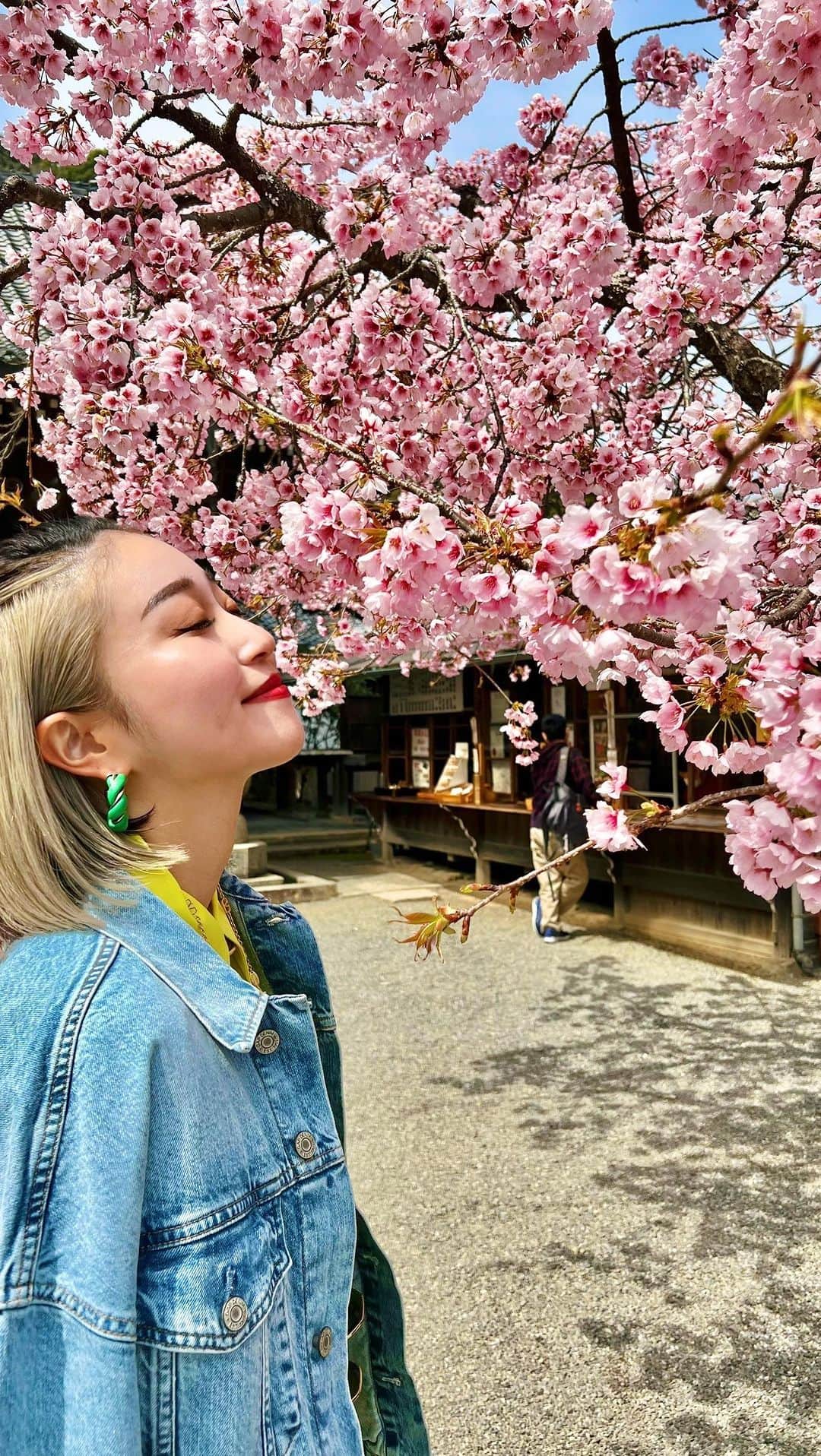 梅谷安里のインスタグラム：「楽しかったプチTRIP🌸 次はどこへ行こうかな🤭🌸 #kyoto#京都#嵐山 #桜#mybirthday」