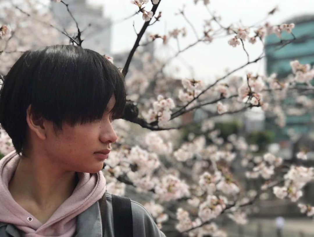 南出凌嘉のインスタグラム：「この前桜を見に行ってきましたー🌸 雨続きでもう散っちゃいそう😢 そしてTV特別版「#映画糸 」どうでしたか？みてくれた方ありがとうございます😊 円盤にもたくさん良いシーンあります！とくに特典映像は中学生時代のシーンもたくさんあるので是非見てほしいです☺️」