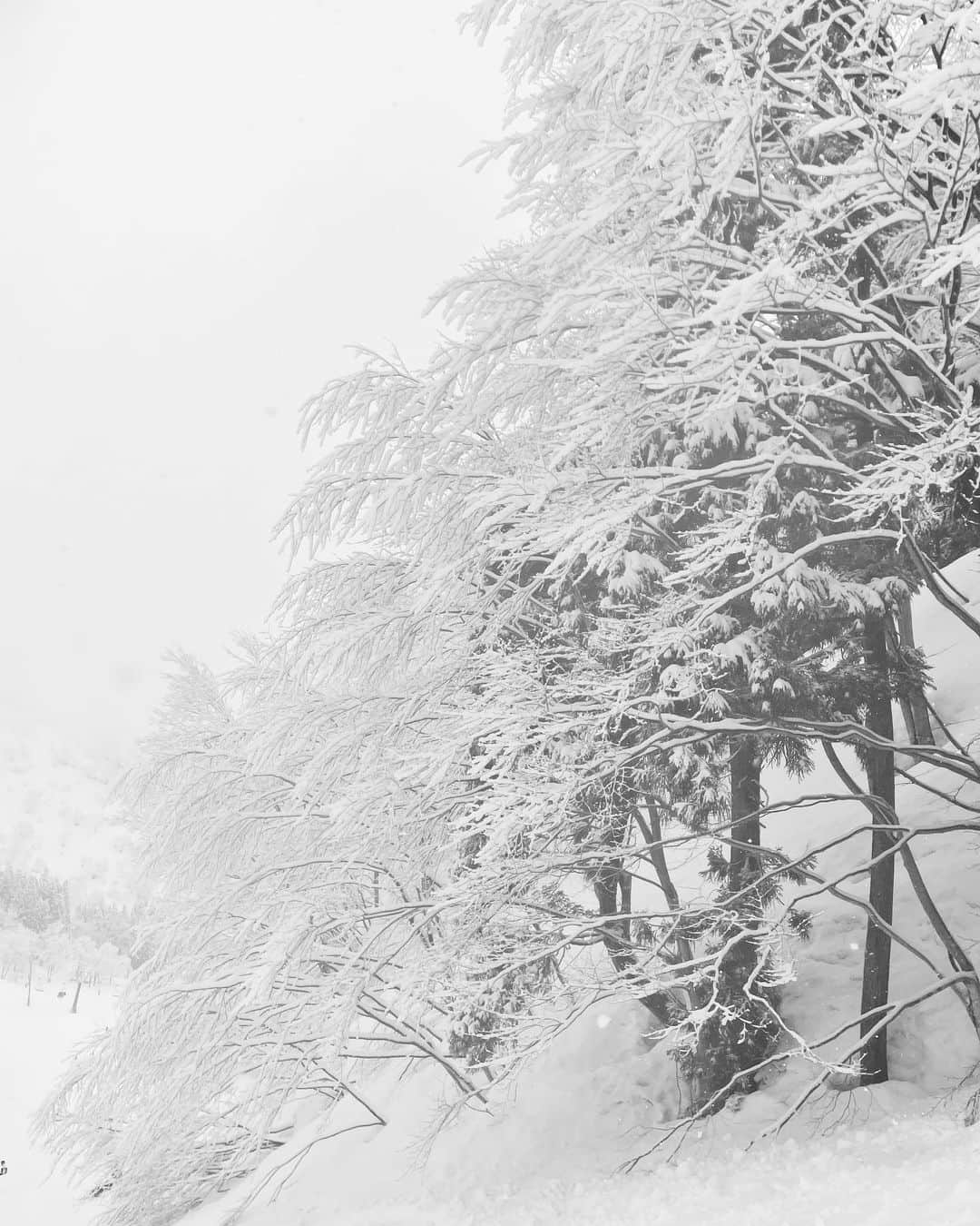 わちみなみのインスタグラム：「❄️」