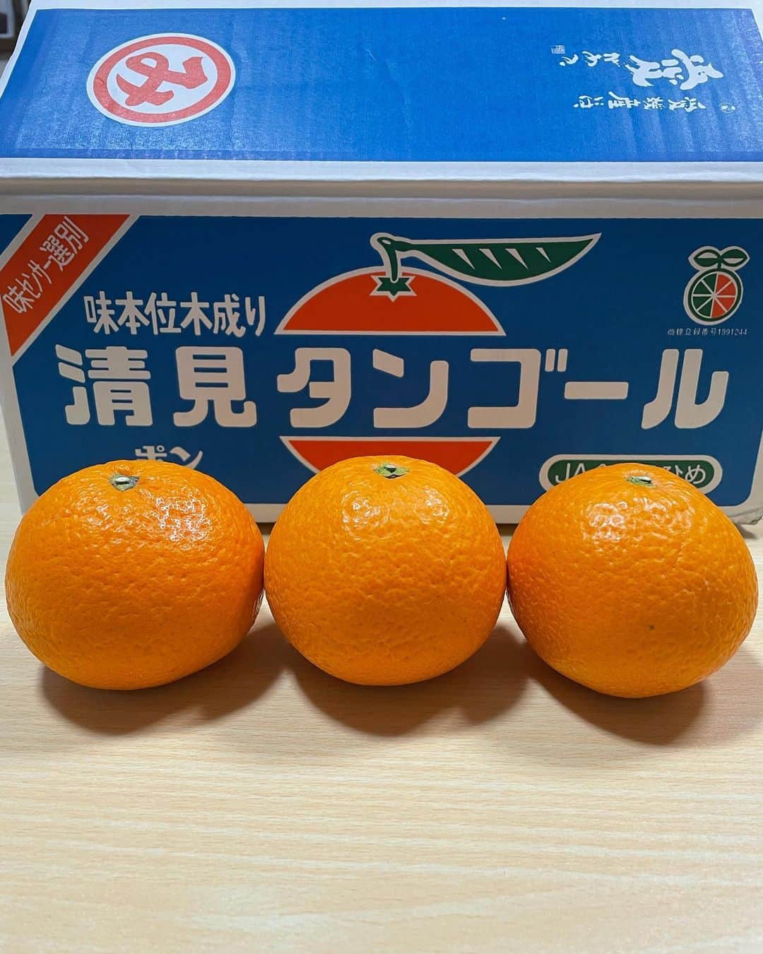 みかんさんのインスタグラム写真 - (みかんInstagram)「今月は西宇和の「清見タンゴール」のご紹介です🍊  清見タンゴールは日本の温州みかん🍊とアメリカのオレンジ🍊が交配した柑橘なんです‼️ 確かに言われるとネーミングが それっぽい感じでとても印象的なネーム👍  味は甘くてその中に酸味もほどよくあって、プチッ❤️トロ〜とした食感でかなりジューシーです😋 果肉が沢山入ってるので食べ応えもありますよ❤️ 皮は少し剥きにくいかもしれないので、初心者の方はカットフルーツにすると食べやすいかも👍  因みにわたしは愛媛県育ちのベテランですので、もちろん素手で剥きます😂  是非、私オススメの清見タンゴールは「西宇和みかん　ブランドサイト」で検索してみて下さいね✨ 私のアーカイブにHPに飛べるようにしてます💕 ご購入などお考えの方はそちらからでも見れますのでチェックしてみてね✌️  写真の様に私がみかん箱📦🍊 担いで皆さんの元に届けれたら一番いいのですが、それをすると私が腐ったみかんになってしまうので、そこはしっかりJA西宇和さんが届けくれるので安心を🍊  美味しい柑橘の期間も短くなってきました😭 是非、美味しい柑橘の食べ納めを🍊😊  #西宇和みかん #清見タンゴール #PR #果肉たっぷり #ジューシー #甘さの中に程よい酸味 #子供も大好き」4月5日 10時33分 - mikan02241984