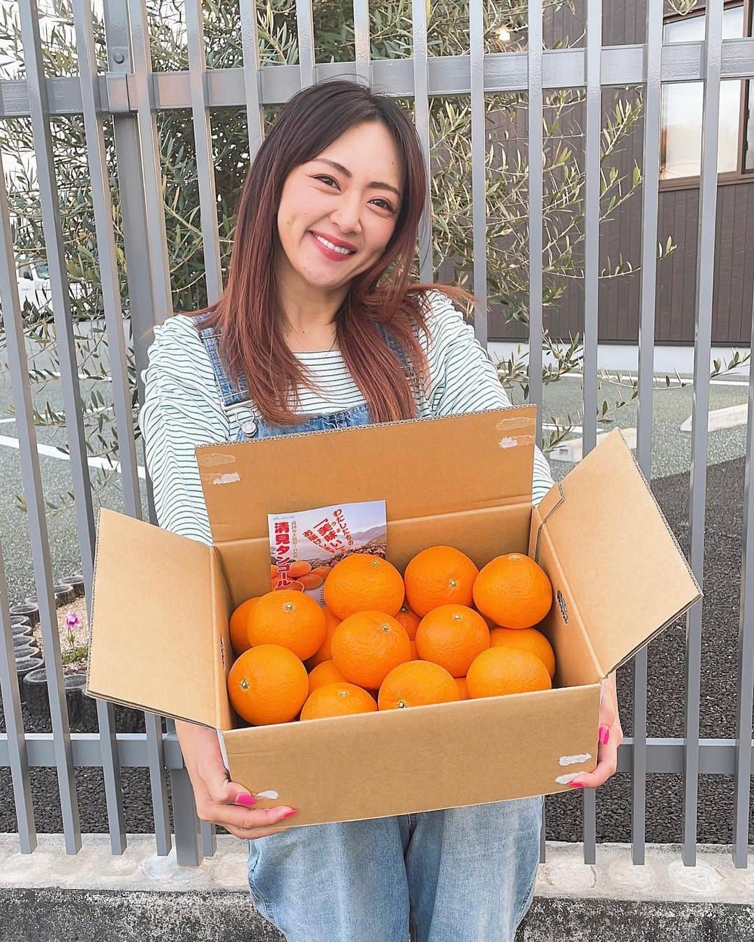 みかんさんのインスタグラム写真 - (みかんInstagram)「今月は西宇和の「清見タンゴール」のご紹介です🍊  清見タンゴールは日本の温州みかん🍊とアメリカのオレンジ🍊が交配した柑橘なんです‼️ 確かに言われるとネーミングが それっぽい感じでとても印象的なネーム👍  味は甘くてその中に酸味もほどよくあって、プチッ❤️トロ〜とした食感でかなりジューシーです😋 果肉が沢山入ってるので食べ応えもありますよ❤️ 皮は少し剥きにくいかもしれないので、初心者の方はカットフルーツにすると食べやすいかも👍  因みにわたしは愛媛県育ちのベテランですので、もちろん素手で剥きます😂  是非、私オススメの清見タンゴールは「西宇和みかん　ブランドサイト」で検索してみて下さいね✨ 私のアーカイブにHPに飛べるようにしてます💕 ご購入などお考えの方はそちらからでも見れますのでチェックしてみてね✌️  写真の様に私がみかん箱📦🍊 担いで皆さんの元に届けれたら一番いいのですが、それをすると私が腐ったみかんになってしまうので、そこはしっかりJA西宇和さんが届けくれるので安心を🍊  美味しい柑橘の期間も短くなってきました😭 是非、美味しい柑橘の食べ納めを🍊😊  #西宇和みかん #清見タンゴール #PR #果肉たっぷり #ジューシー #甘さの中に程よい酸味 #子供も大好き」4月5日 10時33分 - mikan02241984