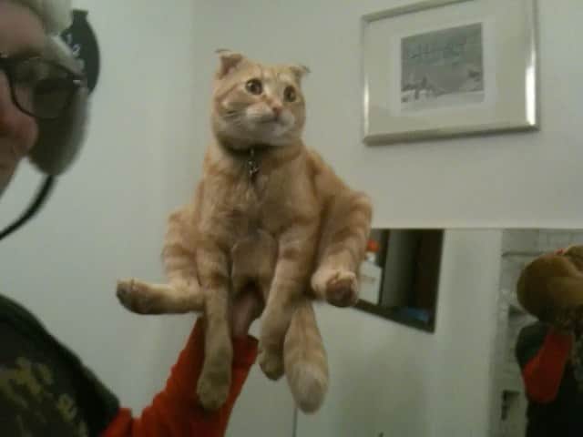 Jason G. Sturgillのインスタグラム：「Nothing like finding an old hard drive with decade old videos of #cheetochan.」