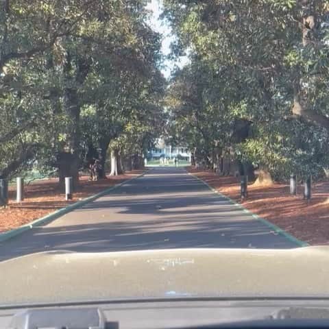 ロバート・マッキンタイアのインスタグラム：「Brilliant to be back up the lane @themasters 😍💚  Thanks folks @oban_pipe_band   #MyHighlandCathedral 🏴󠁧󠁢󠁳󠁣󠁴󠁿🌸」