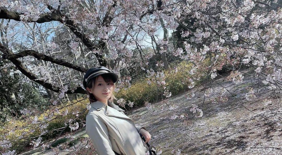 吉良りんのインスタグラム：「. . 気温また戻ってきた🌸 . #新宿御苑　#桜　#春」